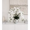 Orchidea v sklenenej váze 60 cm Orchidea v sklenenej váze 60 cm