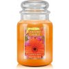 Country Candle Slunce a sedmikrásky 680 g Country Candle Slunce a sedmikrásky 680 g