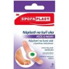 3M SPOFAPLAST č.183 Náplasť na kurie oká 6 ks 3M SPOFAPLAST č.183 Náplasť na kurie oká 6 ks