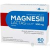 MAGNESII LACTAS VULM 500 mg tbl (blis.Al/PVC) 1x60 ks MAGNESII LACTAS VULM 500 mg tbl (blis.Al/PVC) 1x60 ks