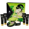 Shunga Geisha Organica Exotic Green Tea Shunga Geisha Organica Exotic Green Tea