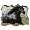 Díra 3D fototapeta na stěnu Čierny kôň kvety 95x64 cm Díra 3D fototapeta na stěnu Čierny kôň kvety 95x64 cm