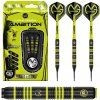 Šípky Winmau soft MvG Ambition 20g BRASS Šípky Winmau soft MvG Ambition 20g BRASS