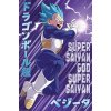 Plagát, Obraz - Dragon Ball Super - Vegeta, 61 × 91.5 cm Plagát, Obraz - Dragon Ball Super - Vegeta, 61 × 91.5 cm
