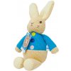 Rainbow Designs Limited Rainbow Zajačik Peter z mäkkého úpletu Rainbow Designs Limited Rainbow Zajačik Peter z mäkkého úpletu