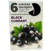 Admit Tea Lights Black Currant 6 ks