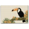Vymalujsisam.sk Diamantovanie podľa čísiel - Tukan na vetve Veľkosť: 20x30cm, Rám: Bez rámu, iba zrolované plátno, Diamanty: Hranaté Vymalujsisam.sk Diamantovanie podľa čísiel - Tukan na vetve Veľkosť: 20x30cm, Rám: Bez rámu, iba zrolované plátno, Diamanty: Hranaté