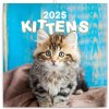 Koťata 2025 - nástěnný kalendář Koťata 2025 - nástěnný kalendář