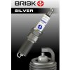Zapaľovacia sviečka BRISK 1723 Zapaľovacia sviečka BRISK 1723