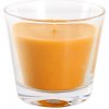 Provence Mango 140 g