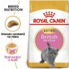 ROYAL CANIN Kitten british shorthair 4 x 2 kg