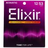 Elixir Nanoweb Phosphor Bronze Light