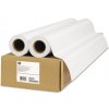 HP HP Everyday Matte Polypropylene, Matný polypropylén, CH025A, foto polypropylén, matný, biely, role, 120 g/m2, 2 ks, atramentový HP HP Everyday Matte Polypropylene, Matný polypropylén, CH025A, foto polypropylén, matný, biely, role, 120 g/m2, 2 ks, atramentový
