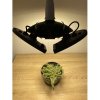 PROFI LED GROW žiarovka na všetky rastliny (E27) 60W - 3 nastaviteľné ramená (SUNLIGHT) PROFI LED GROW žiarovka na všetky rastliny (E27) 60W - 3 nastaviteľné ramená (SUNLIGHT)