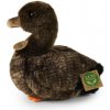 Rappa Plyšová kachna 23 cm ECO-FRIENDLY Rappa Plyšová kachna 23 cm ECO-FRIENDLY