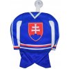 SPORTTEAM® Mini Hokej SR 2 SPORTTEAM® Mini Hokej SR 2