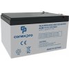 Baterie Conexpro AGM-12-12 VRLA AGM 12V/12Ah, T2 Baterie Conexpro AGM-12-12 VRLA AGM 12V/12Ah, T2