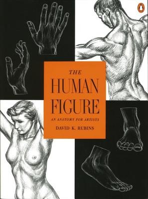 The Human Figure: An Anatomy for Artists Rubins David K.Paperback