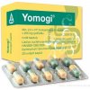 Yomogi cps.dur.20 x 250 mg Yomogi cps.dur.20 x 250 mg