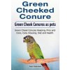 Green Cheeked Conure. Green Cheek Conures as pets. Green Cheek Conures Keeping, Pros and Cons, Care, Housing, Diet and Health. (Roger Rodendale)(Brožovaná) Green Cheeked Conure. Green Cheek Conures as pets. Green Cheek Conures Keeping, Pros and Cons, Care, Housing, Diet and Health. (Roger Rodendale)(Brožovaná)