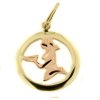 KA 30.10.018 PANNA-9 - Prívesok mesačné znamenie z kombinovaného zlata 0.55 g 0.55 g KA 30.10.018 PANNA-9 - Prívesok mesačné znamenie z kombinovaného zlata 0.55 g 0.55 g