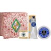 L'Occitane Shea Butter Body Care Gift Set (W) 200 ml, Telový krém L'Occitane Shea Butter Body Care Gift Set (W) 200 ml, Telový krém
