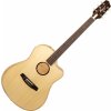L.R. Baggs AEG-1 Natural Elektroakustická gitara L.R. Baggs AEG-1 Natural Elektroakustická gitara