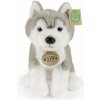 Eco-Friendly Rappa pes husky sediaci Eco-Friendly Rappa pes husky sediaci