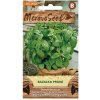 MoravoSeed Semínka Bazalka pravá zelená 400 s