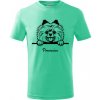 T-ričko Pomeranian, detské tričko s vlastným textom Farba trička: Mätová, Farba potlače: Čierna, Veľkosť: 122 cm/6 rokov T-ričko Pomeranian, detské tričko s vlastným textom Farba trička: Mätová, Farba potlače: Čierna, Veľkosť: 122 cm/6 rokov