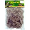 Lucky Reptile Spanish Moss 50 g Lucky Reptile Spanish Moss 50 g