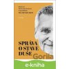 E-kniha Správa o stave duše - Denisa Gura Doričová, Pavel Černák E-kniha Správa o stave duše - Denisa Gura Doričová, Pavel Černák