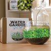 Grow it - Vypestuj si svoju vlastnú vodnú záhradu Grow it - Vypestuj si svoju vlastnú vodnú záhradu