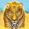 REXhry Divoká Serengeti + darček (rozšírenie Specialisté) REXhry Divoká Serengeti + darček (rozšírenie Specialisté)