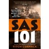 SAS 101 SAS 101