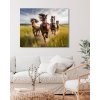 ZUTY Obrazy na stenu - Bežiace hrdzavé kone Rámovanie: bez rámu a bez vypnutia plátna, Rozmer: 40x50 cm ZUTY Obrazy na stenu - Bežiace hrdzavé kone Rámovanie: bez rámu a bez vypnutia plátna, Rozmer: 40x50 cm