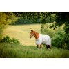 Horseware Deka proti hmyzu Newmarket witney charcoal