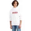 Levi's T3 Relaxd Graphic Hoodie sivá