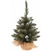 AKCIA VIANOČNY STROMČEK ZAŤAŽENÝ S UM.SNEHOM š.30/V50CM AKCIA VIANOČNY STROMČEK ZAŤAŽENÝ S UM.SNEHOM š.30/V50CM