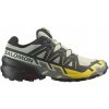 Salomon Speedcross 6