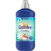 Coccolino Creations Water Lily & Pink Grapefruit aviváž 1450 ml Coccolino Creations Water Lily & Pink Grapefruit aviváž 1450 ml