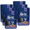 Brit Premium Cat Cod Fish 6 x 100 g