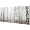 Sklenený obraz hmla breza 100x50 cm Sklenený obraz hmla breza 100x50 cm