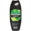 Sprchový Gél Palmolive Charge Up Lime & Charcoal Men Intense 4v1 500ml Sprchový Gél Palmolive Charge Up Lime & Charcoal Men Intense 4v1 500ml