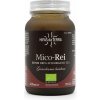 HIFAS DA TERRA, S.L. Mico-Rei (Reishi) HIFAS DA TERRA, S.L. Mico-Rei (Reishi)