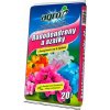 Agro CS Substrát na azalky a rododendróny 20 l Agro CS Substrát na azalky a rododendróny 20 l