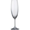 CRYSTALITE BOHEMIA BOHEMIA SYLVIA POHÁR NA ŠAMPANSKÉ 220 ML SADA 6 KS CRYSTALITE BOHEMIA BOHEMIA SYLVIA POHÁR NA ŠAMPANSKÉ 220 ML SADA 6 KS