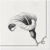 Obrúsky PAW AIRLAID 40x40 cm - Memory flower Obrúsky PAW AIRLAID 40x40 cm - Memory flower