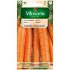 Vilmorin - Mrkva skorá AMSTERDAM 3 5g Vilmorin - Mrkva skorá AMSTERDAM 3 5g