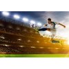 DIMEX | Vliesové fototapety na stenu Futbalový hráč MS-5-0306 | 375 x 250 cm | modrá, zelená, hnedá, žltá + Vliesová fototapeta na stenu DIMEX Futbalový hráč MS50306 v rozmere 375 x 250 cm DIMEX | Vliesové fototapety na stenu Futbalový hráč MS-5-0306 | 375 x 250 cm | modrá, zelená, hnedá, žltá + Vliesová fototapeta na stenu DIMEX Futbalový hráč MS50306 v rozmere 375 x 250 cm